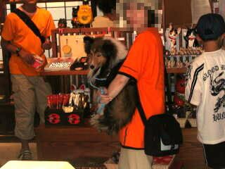 �R�m�R�n�z�����m�f�X�J�H(��)