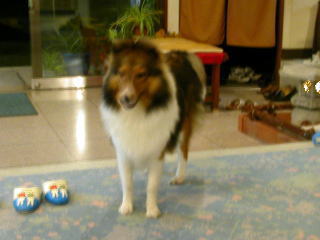 ���҂������܂����B