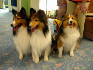 �ɂ������