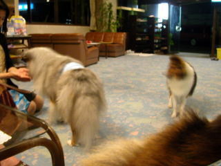 ��O�́u�ށ[�v