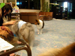 ��������O�́u�ށ[�v