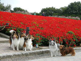 ����͐l�������ς��B�i�΁j