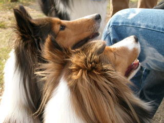 ����A�������Ⴂ��