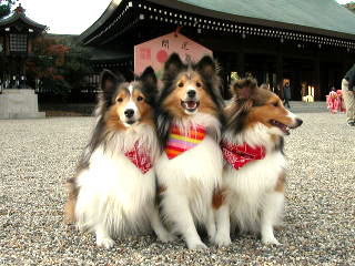 �ށ[��B�B�B