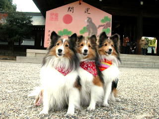 �`���[�`���[�g�������H