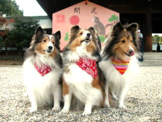 �h�R�w�C�b�e���j���L���m�H(��I)