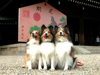 �x�e���܂��傤�I