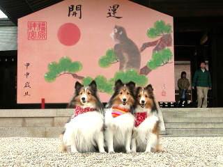 ��ꂽ�Ȃ股�[�B