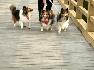 ��[���􂨎U�����U���`��