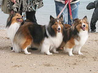 �l���㗤�I