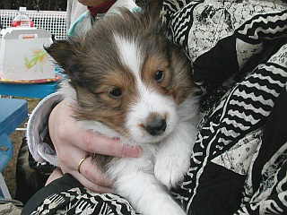 �����`��