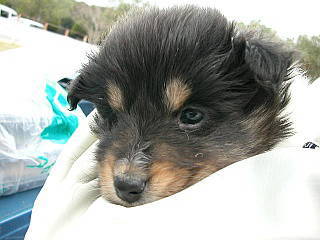 �}���}���L�����I�̖�������