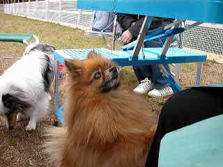 cheri_blue���񂿂́E�E�E�����