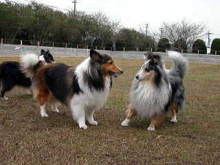 �R���j�`������