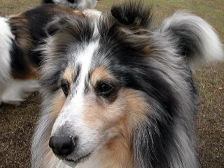 �n���T���ł���I