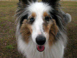 ���[�W�����񂿂̃��t�B�A�����