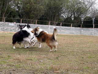 �݂�Ȓ��ǂ���_(^��^)�^