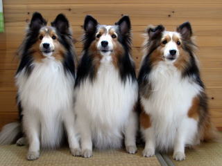 �����܂��