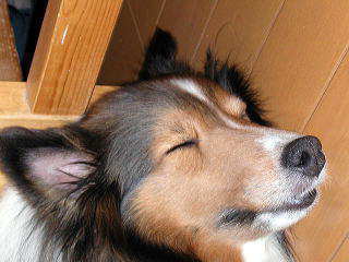 �܂����������B