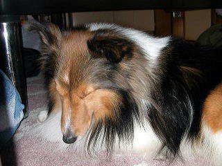 �ꂨ�����������B