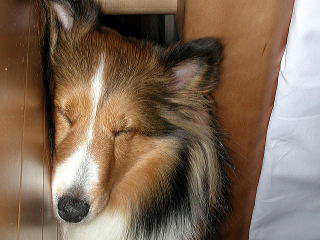 �ށ[�͂������B