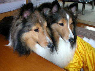 �ł��ˁA���H���̎��ԂɂȂ�ƁE�E�E