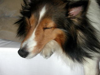 ��������@�܂邿���B