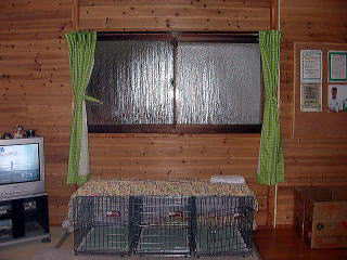 �ł���J�_(T-T)