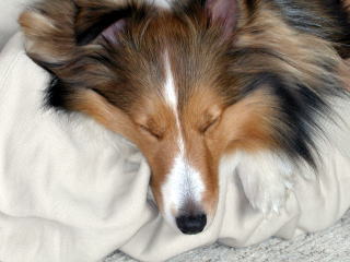 �ށ[�͂����ꖰ��B(-�B_)�B�Bo�Z