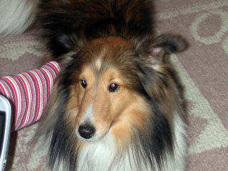 �ꂨ�͂��ڊo�߁H