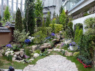 ��������������ǂ��̂ɂȁ�