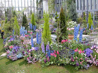 �J���[�o�����X���I�~�S�g�I