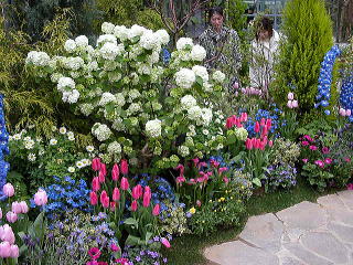 ���̈ʂ̑傫���Ȃ�E�E�E