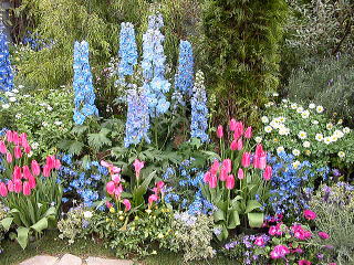 ����ς�t��