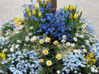 �`���[���b�v�I