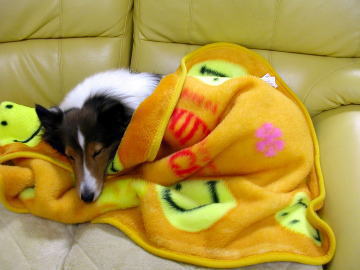 ��������Ȃ́`�B