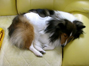 ��������܂���B((�i�E�E�@�j�i�@�E�E�j))�@�L�����L����