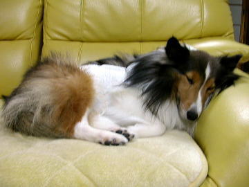 �����Y�Ȃ܂邿���ł��B