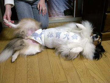 ���[��A�i�b�g�N�I(��)