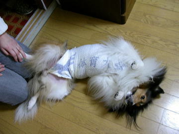 ���[�ǂ�������o(^-^)o