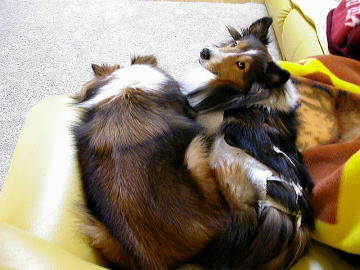 ���������`�I�I