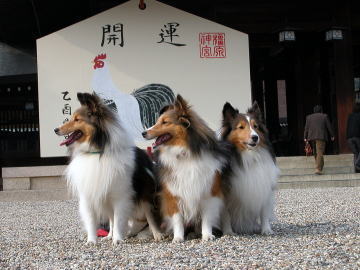 �܂�_�P�E�E�Ed(>_< )GOOD!!