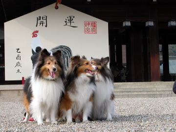 �܂��܂��@�ꂨ�_�P�E�E�Ed(>_< )GOOD!!