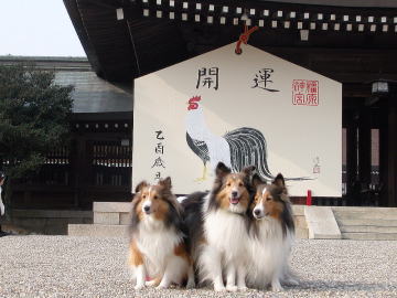 ���ނނނނ��B�B�B