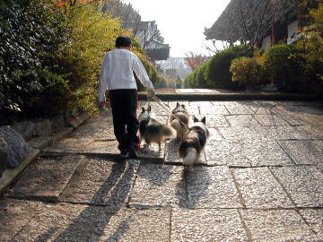 �ƘH���}���܂邿���Y��