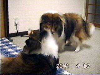 �Ԃ�Ƃ܂�̎ʐ^