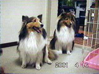 �Ԃ�Ƃ܂�̎ʐ^