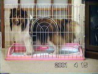 ��������̎ʐ^