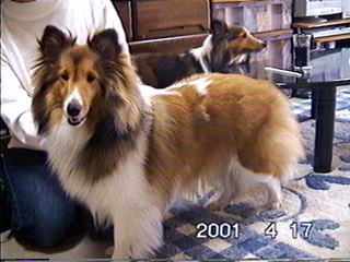 �������̎ʐ^