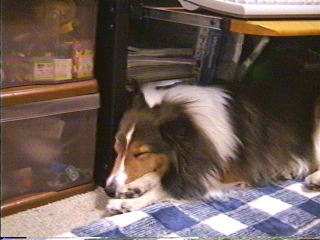 �܂邿���̎ʐ^